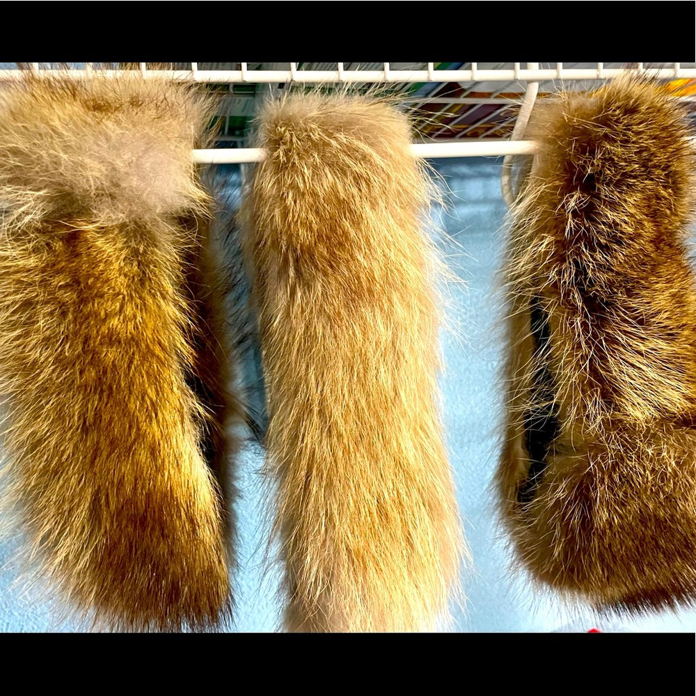 Raccoon head wrap